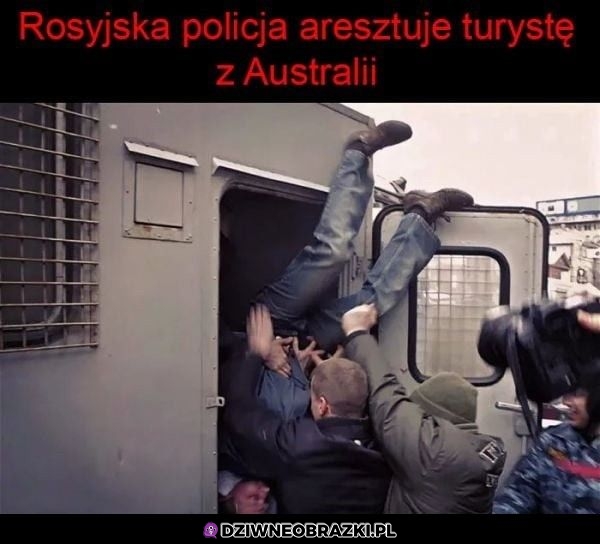 Aresztowanko