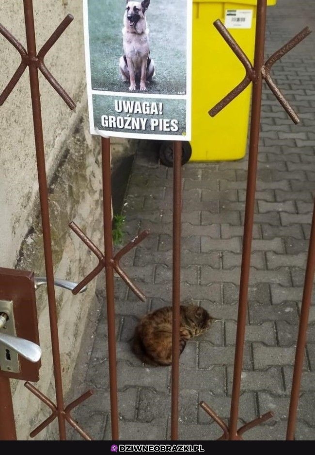 Bardzo groźny