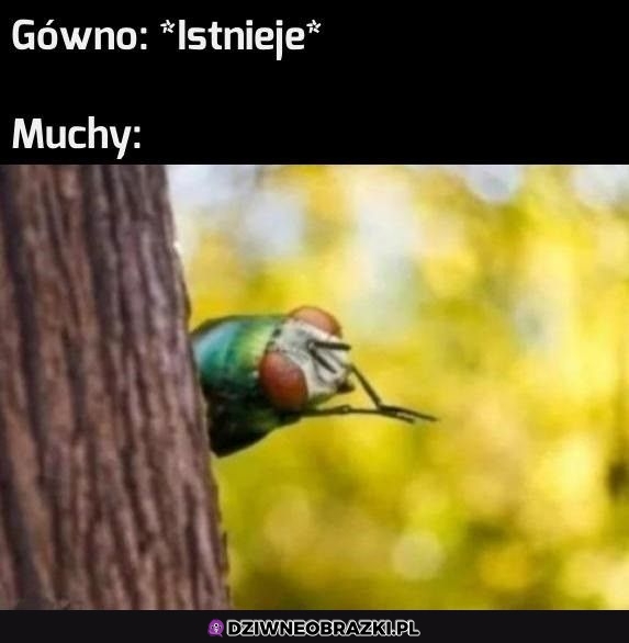 Kiedy istnieje