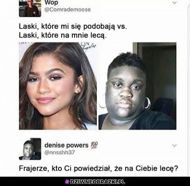 Hola hola
