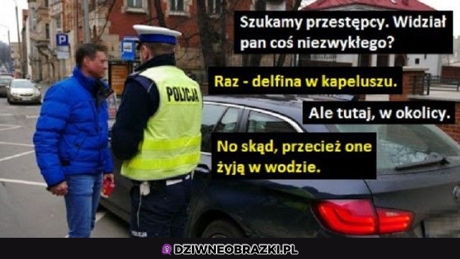 Widział pan coś?