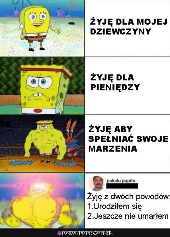 Powody do życia