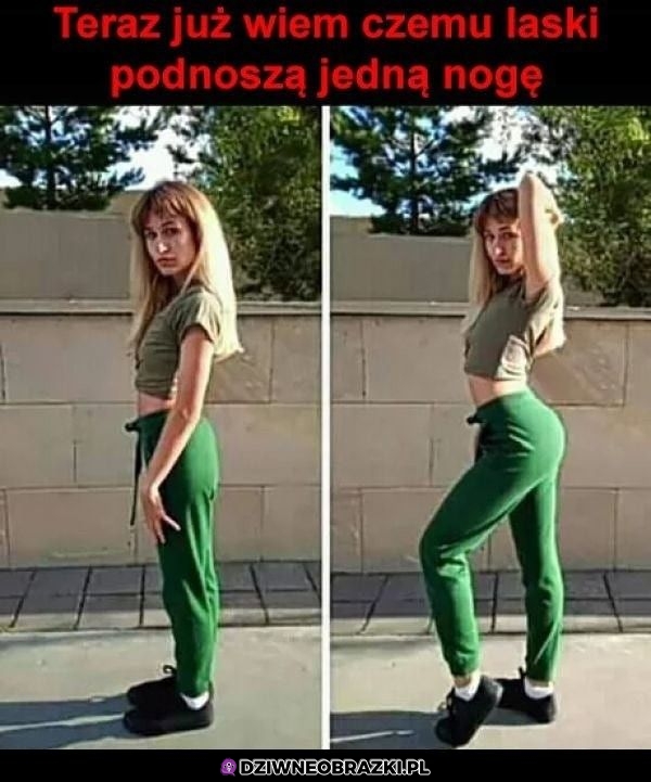 I wszystko jasne!