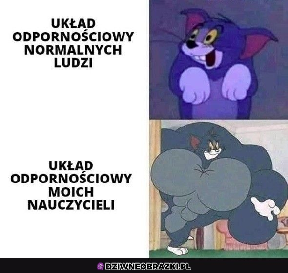 Niezniszczalni