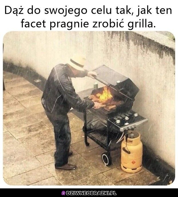 Nie poddaje się