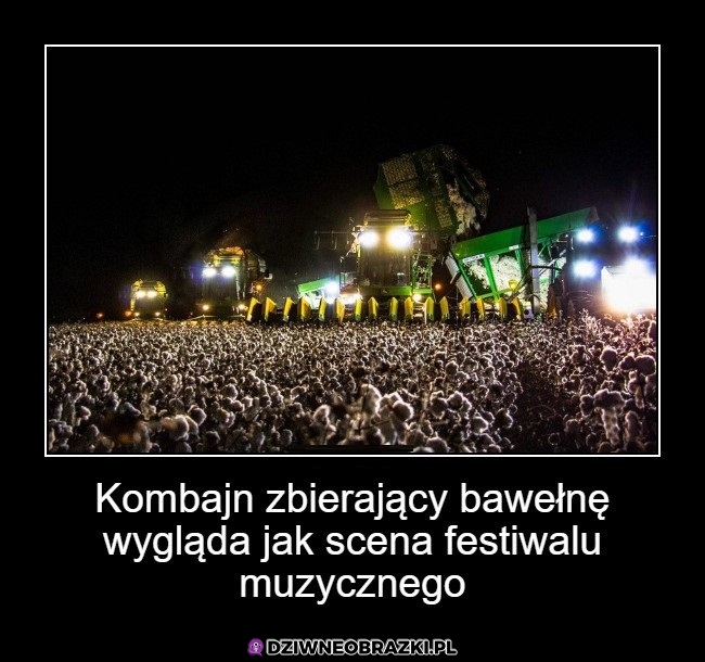 Epickie foto z festiwalu