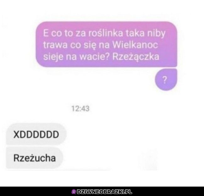 Ciężka rozkmina