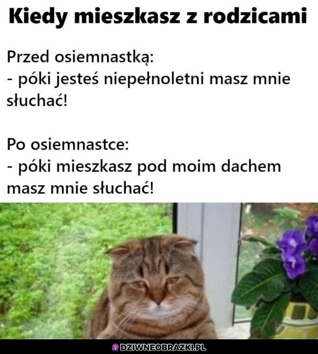 Mieszkanie z rodzicami