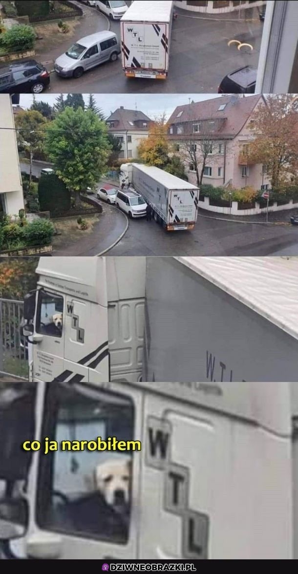Mógł nie parkować na skrzyżowaniu