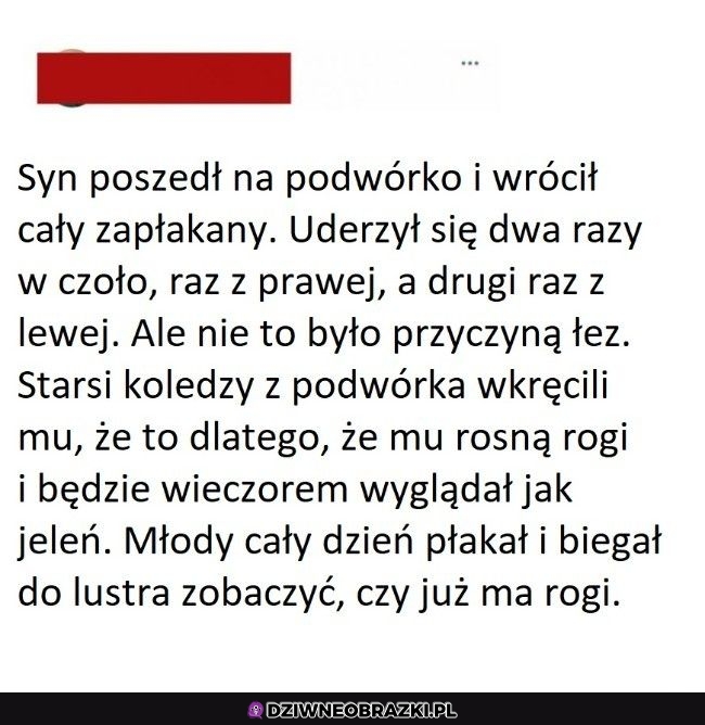 Ale go ładnie wkręcili