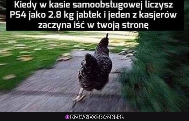 I dzida