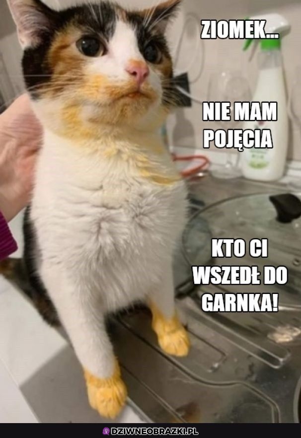Naprawdę nie wiem