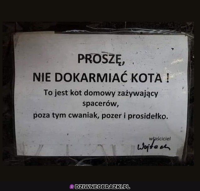 Nie dokarmiać!