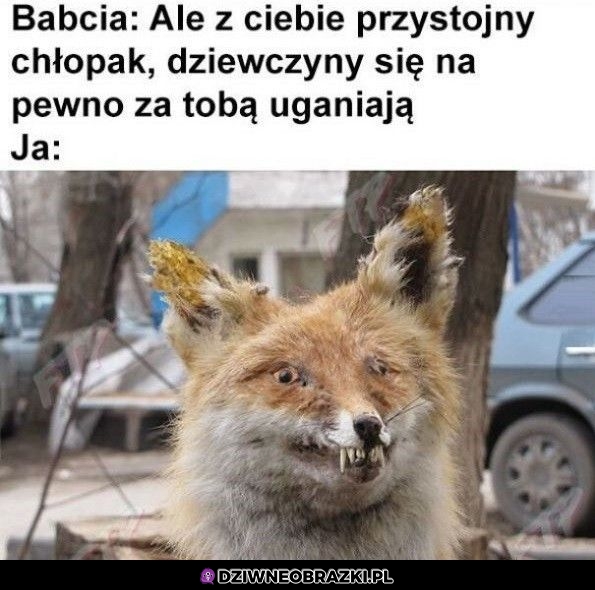 Przystojniak w oczach babci
