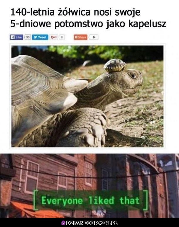 No  i fajnie