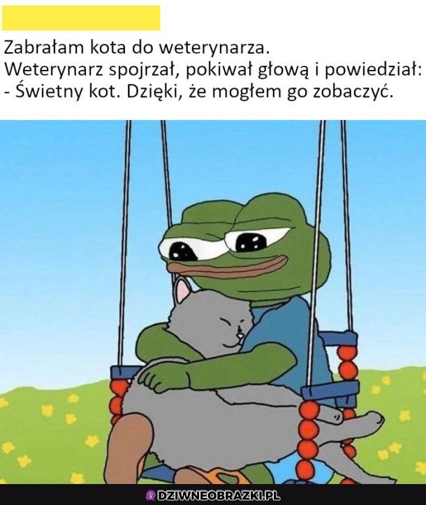 U weterynarza