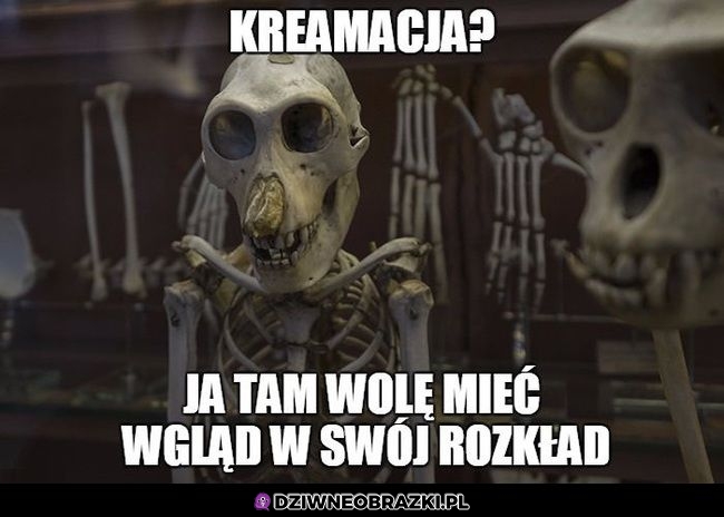 Panie jaka kremacja